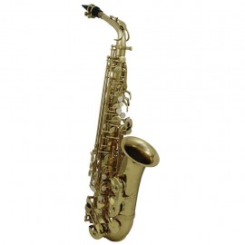 Saxofón Roy Benson - Envío Gratuito